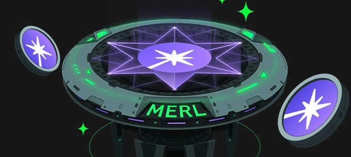 merl币：未来潜力与长期持有的考量