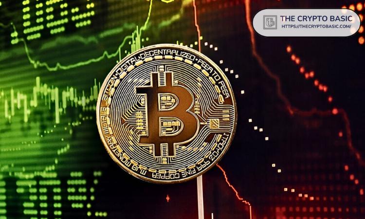 Bitcoin Whales and Sharks Swamp: 57,687 BTC Valued at .5 Billion